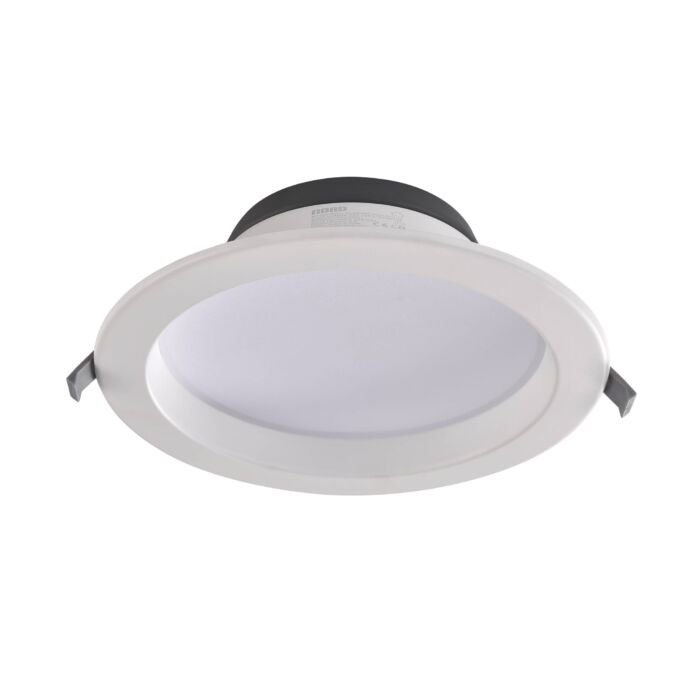 LED Downlight 04